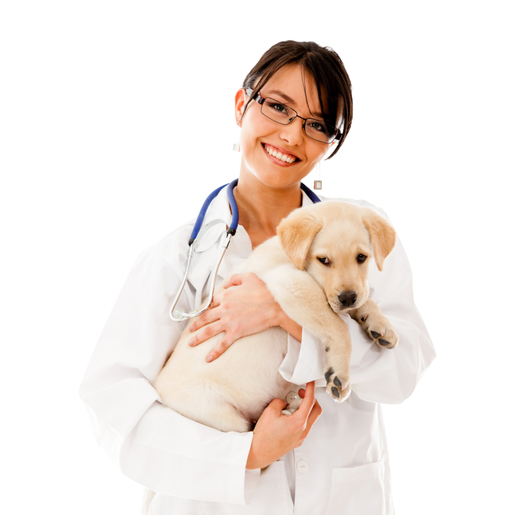 Sistema veterinário completo para petshops, hospitais e clínicas veterinárias